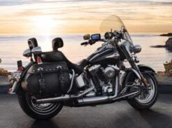 Harley Davidson Signature Sitz Mit Fahrerrückenlehne 16" Glatt -Sportster Meister Verkaufsgeschäft 51998 08 harley51