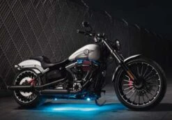 Harley Davidson Reduced Reach Einzelsitz 14,5" 7 Harley Davidson Reduced Reach Einzelsitz 14,5" -Sportster Meister Verkaufsgeschäft 52000099 4