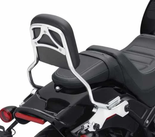 Harley Davidson HoldFast Sissy Bar Bügel Standard Chrom 2 Harley Davidson HoldFast Sissy Bar Bügel Standard Chrom – Bild 2