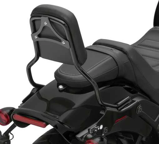 Harley Davidson HoldFast Sissy Bar Bügel Standard Schwarz 2 Harley Davidson HoldFast Sissy Bar Bügel Standard Schwarz – Bild 2